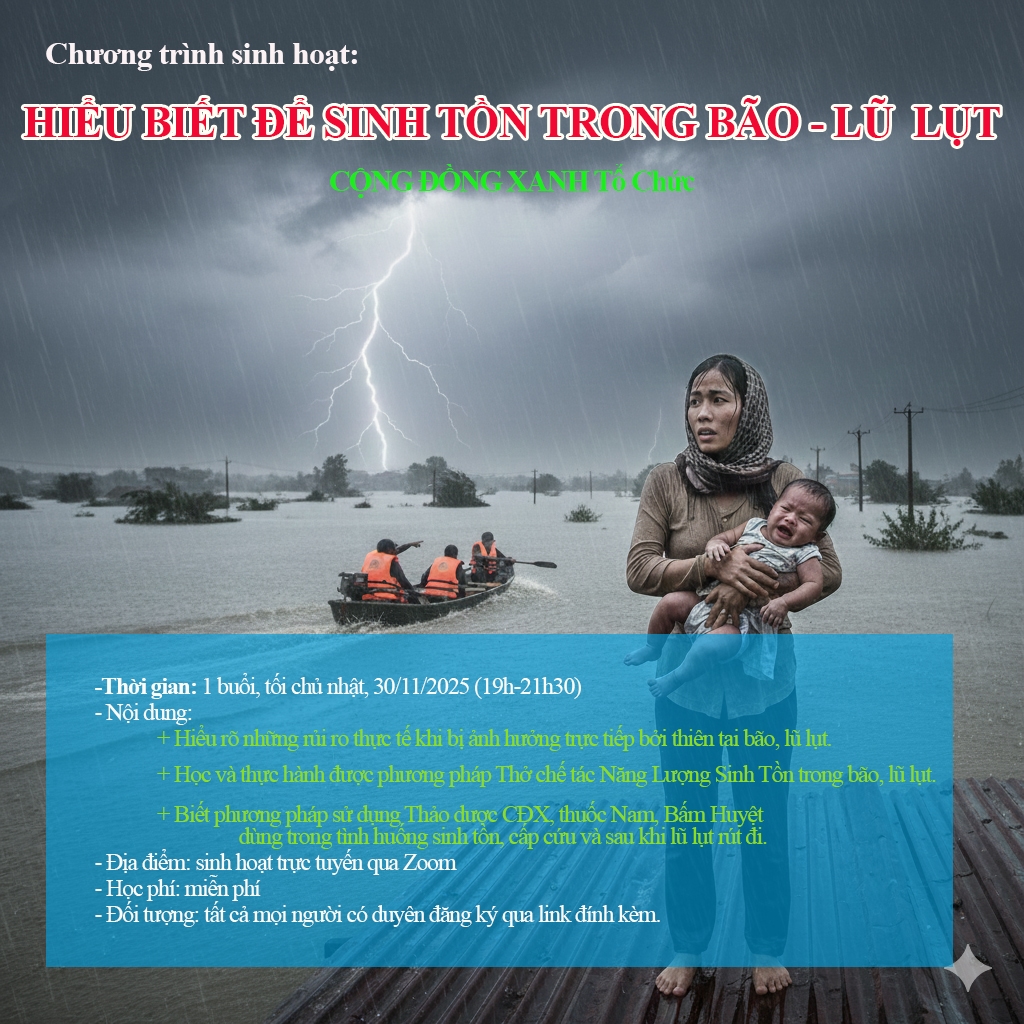 Sinh tồn trong bão lũ lụt