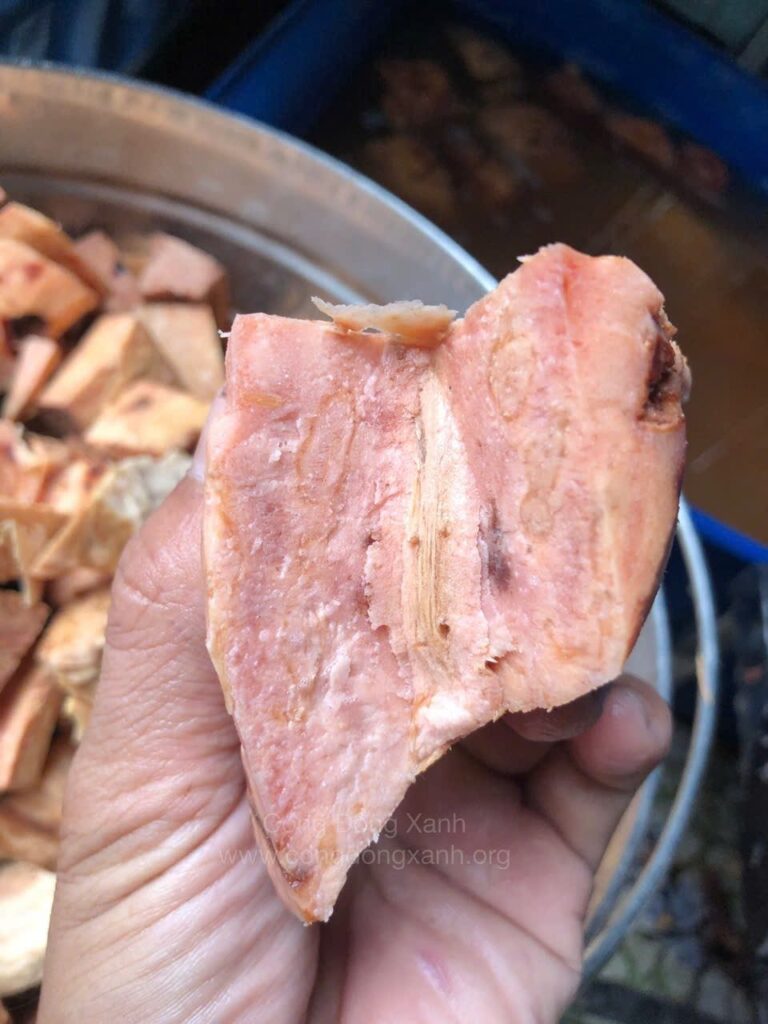 hà thủ ô, tóc bạc, tóc rụng, đẹp da